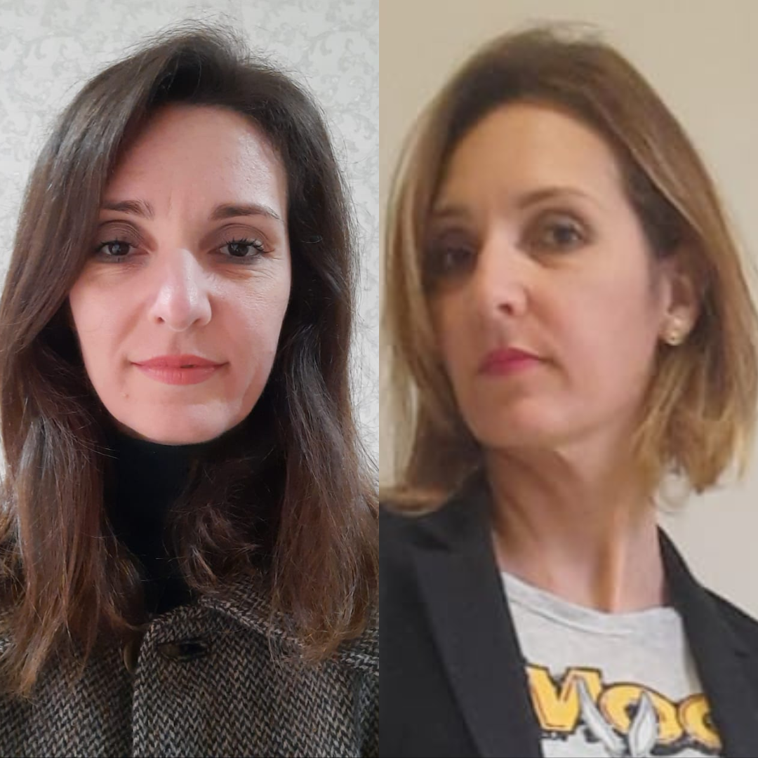 Comparação de imagem 2